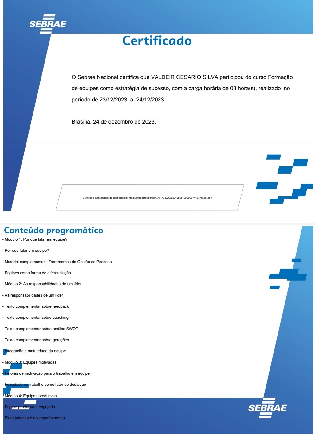 estrateja de sucesso